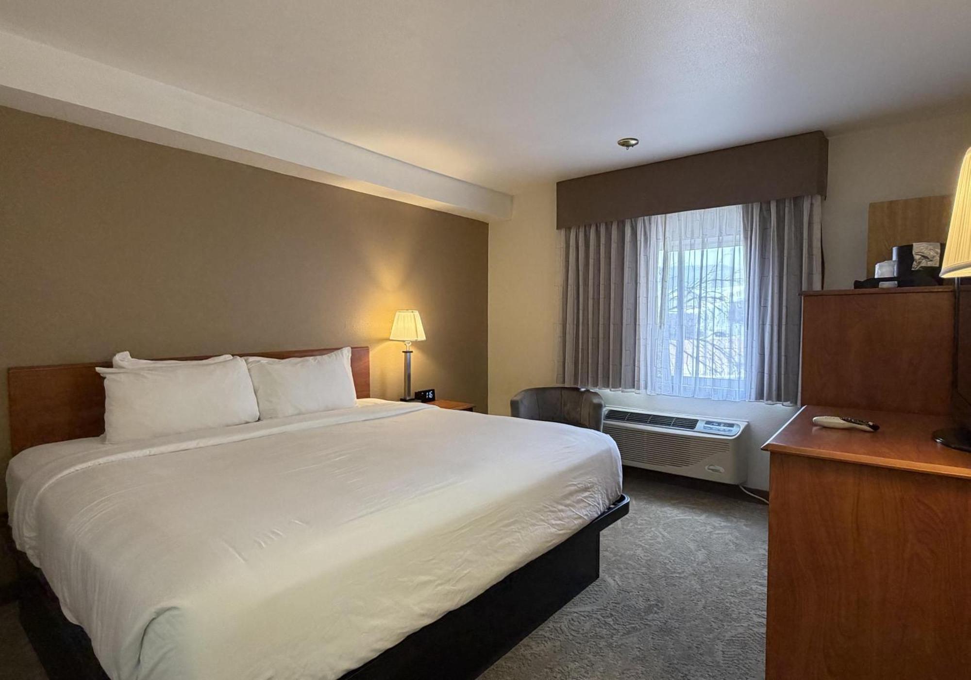 6 Airport Hotels Near Quality Improvement That Deliver