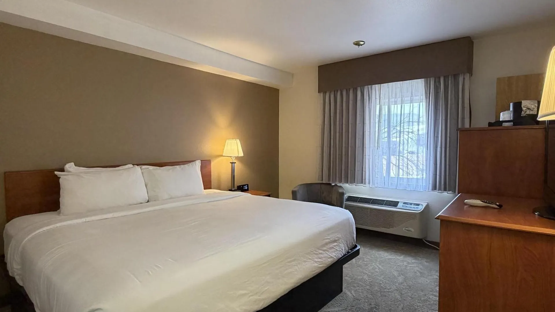 6 Airport Hotels Near Quality Improvement That Deliver